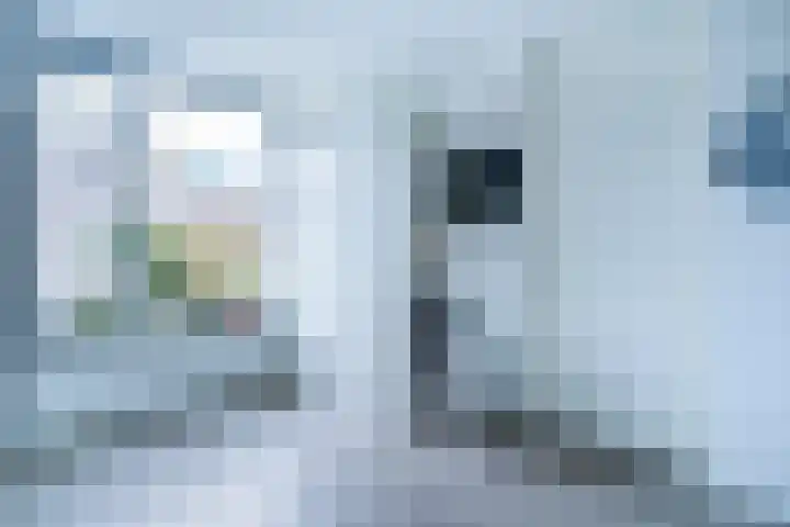 De Beun 11 Houten thumbnail 12