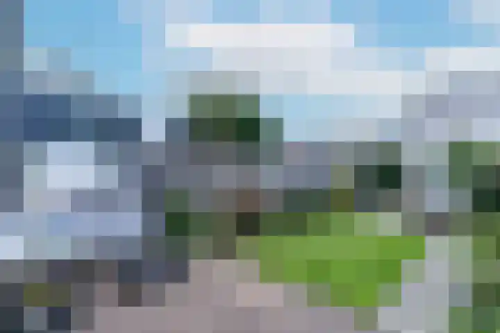 De Beun 11 Houten thumbnail 14