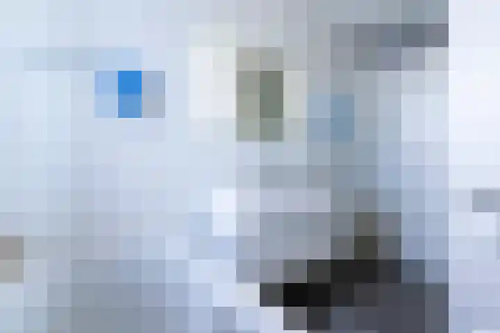 De Beun 11 Houten thumbnail 24