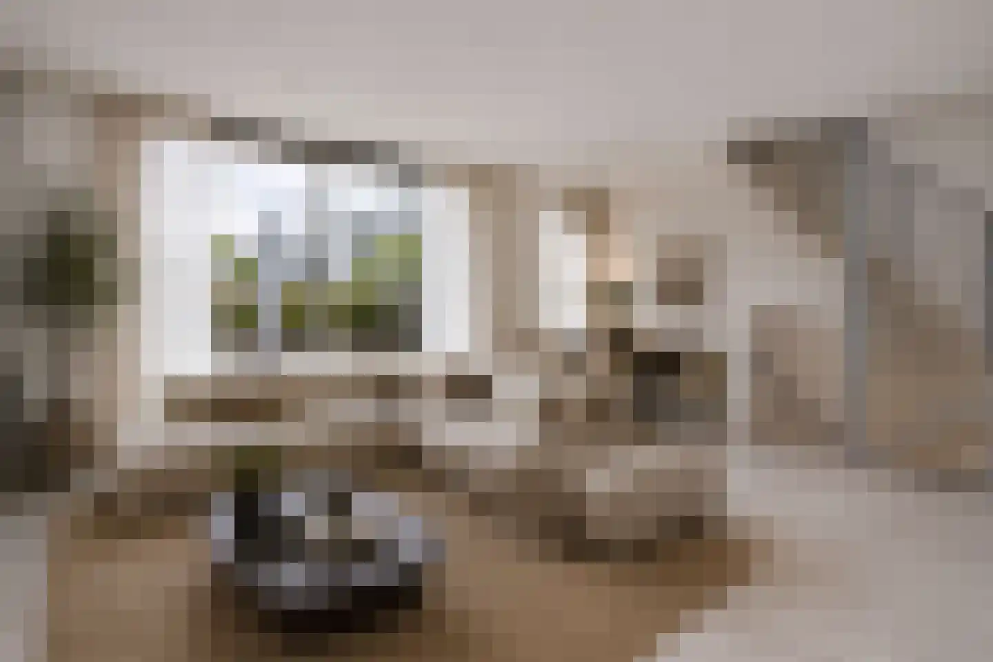 De Beurs 70 Amersfoort thumbnail 8