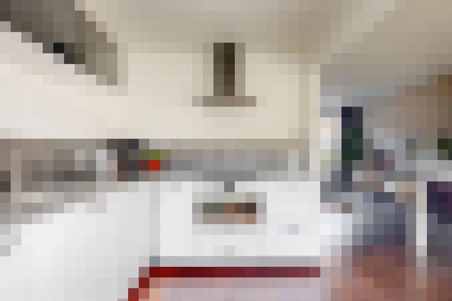 de Beyerstraat 7 Renkum thumbnail 10