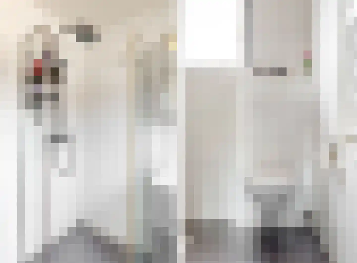 de Beyerstraat 7 Renkum thumbnail 18
