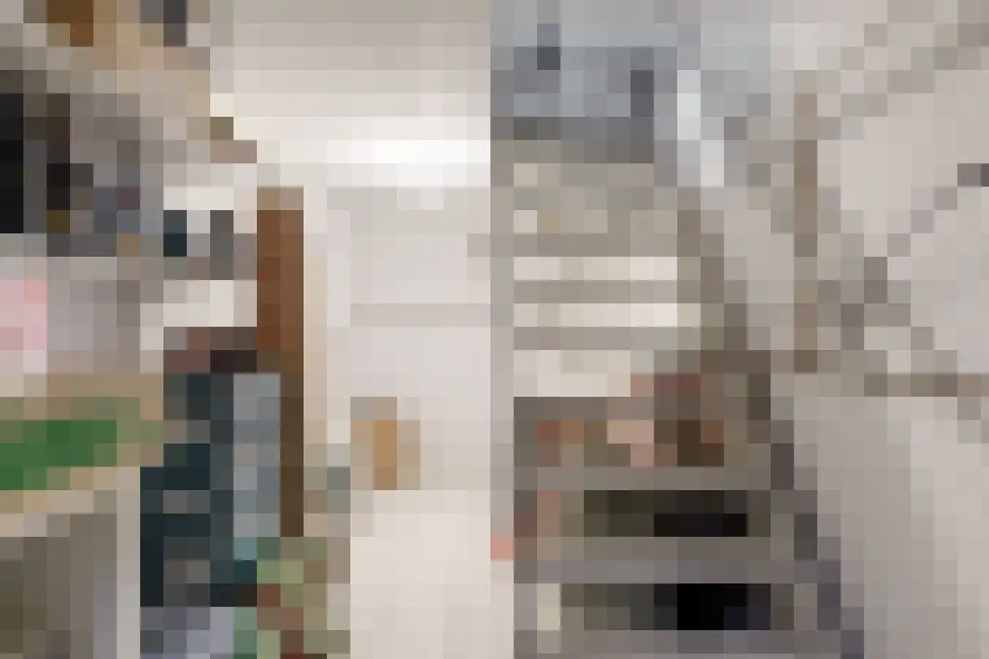 de Beyerstraat 7 Renkum thumbnail 21
