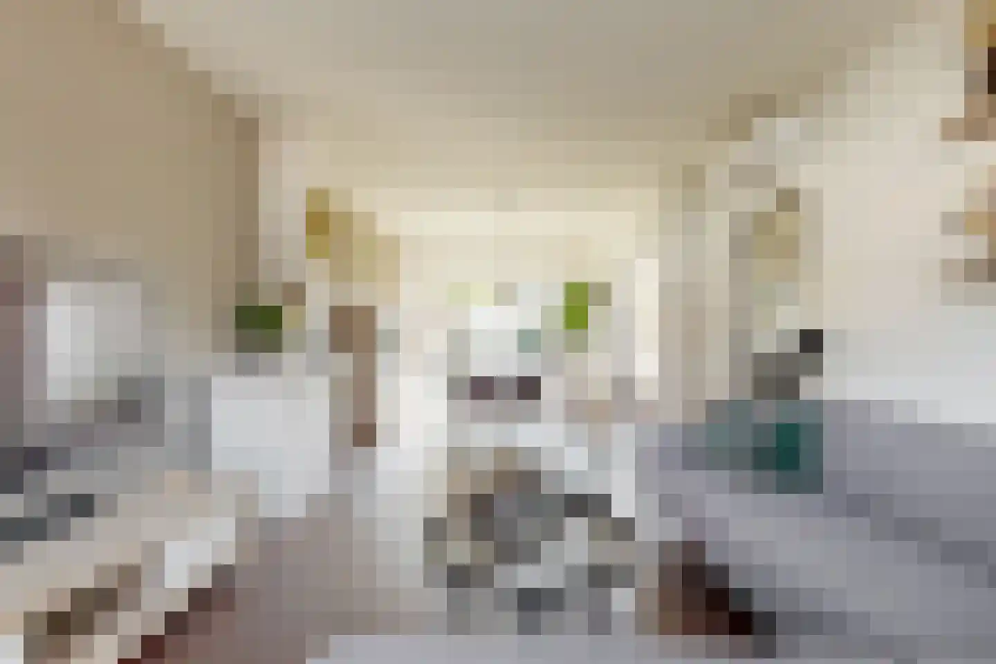 de Beyerstraat 7 Renkum thumbnail 4