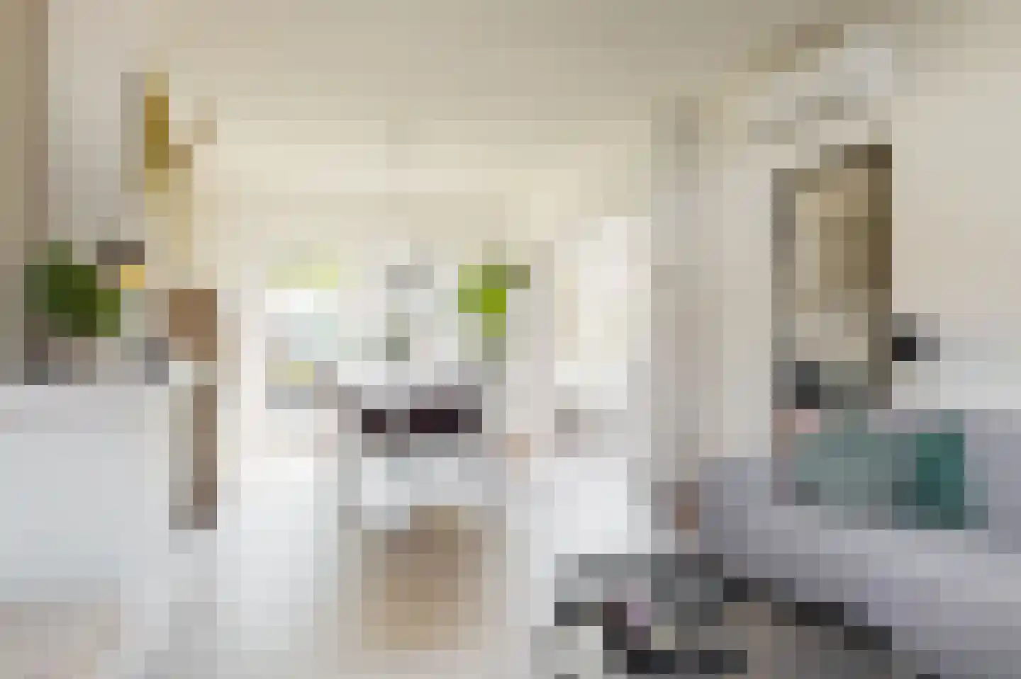 de Beyerstraat 7 Renkum thumbnail 5
