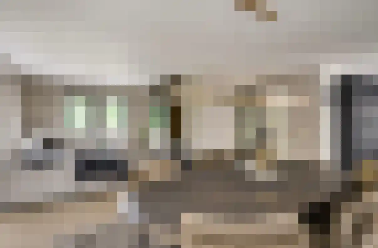 de Bezembinder 3 Heeze thumbnail 16