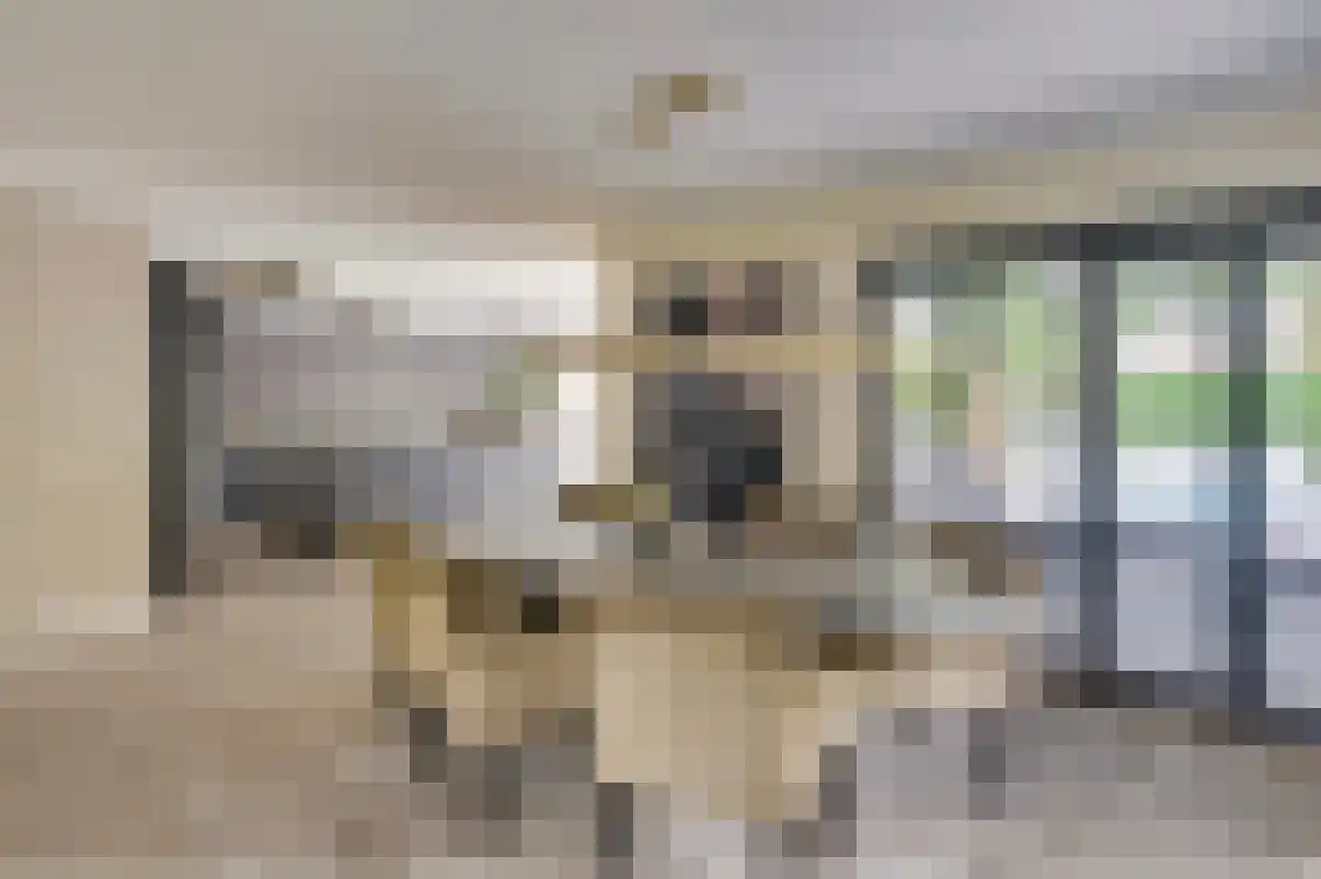 de Bezembinder 3 Heeze thumbnail 17