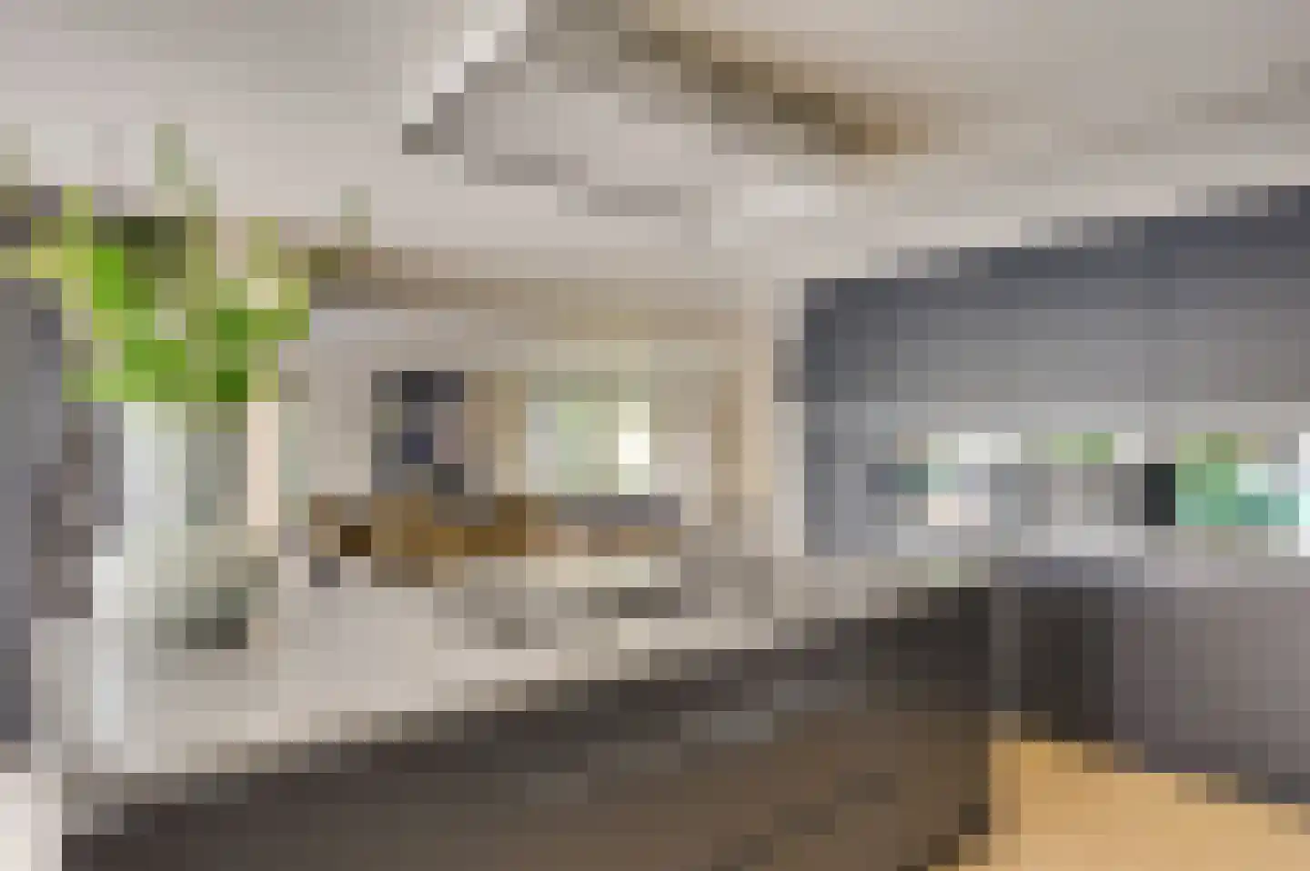 de Bezembinder 3 Heeze thumbnail 19