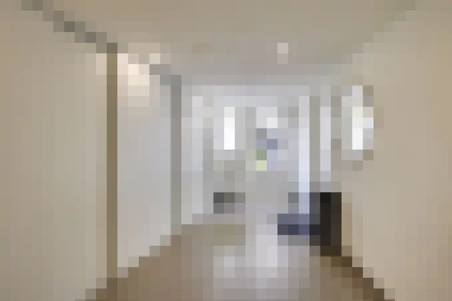 de Bezembinder 3 Heeze thumbnail 24