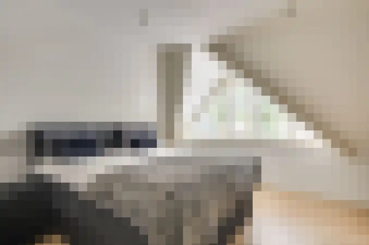 de Bezembinder 3 Heeze thumbnail 27