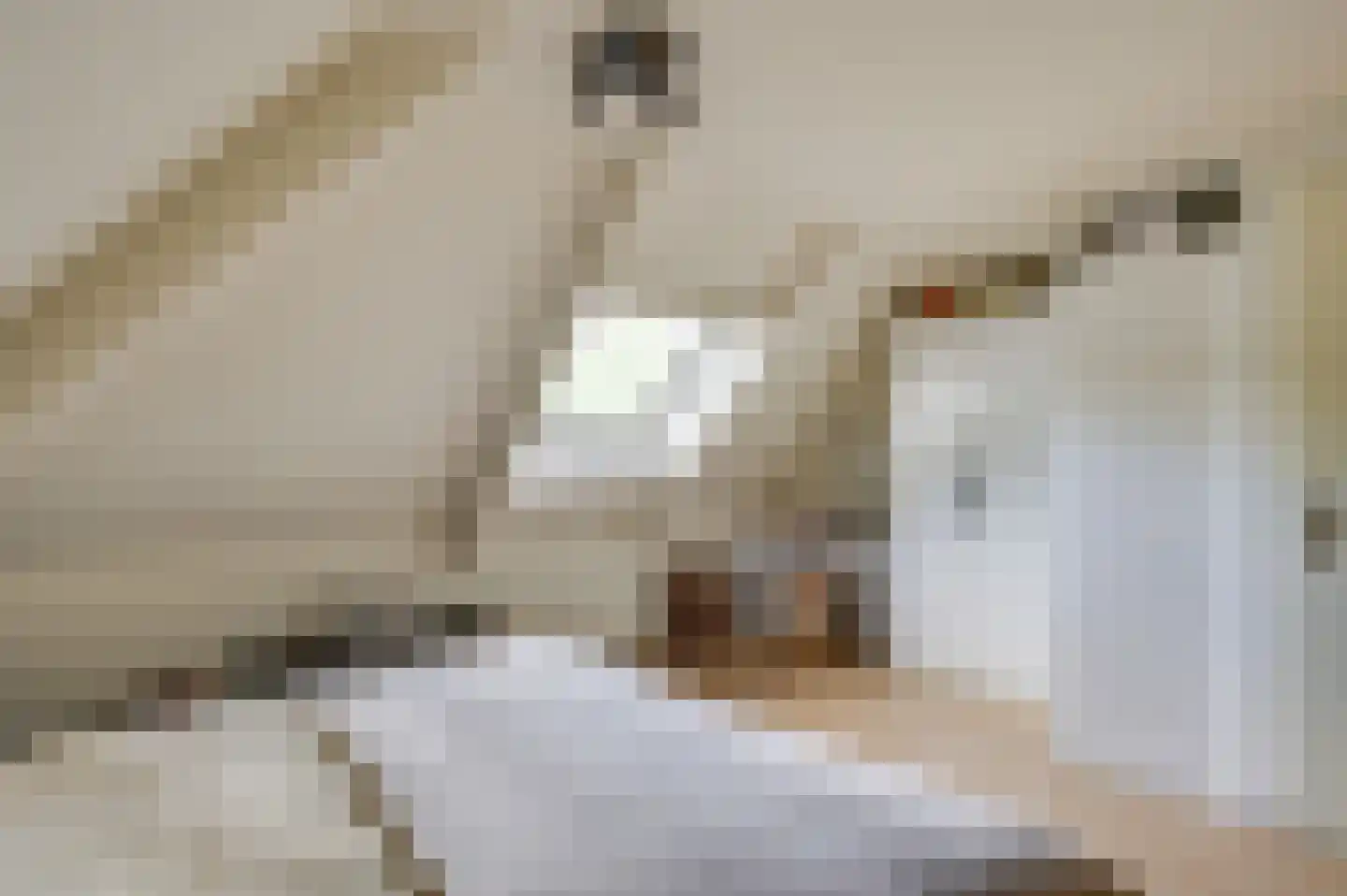 de Bezembinder 3 Heeze thumbnail 34