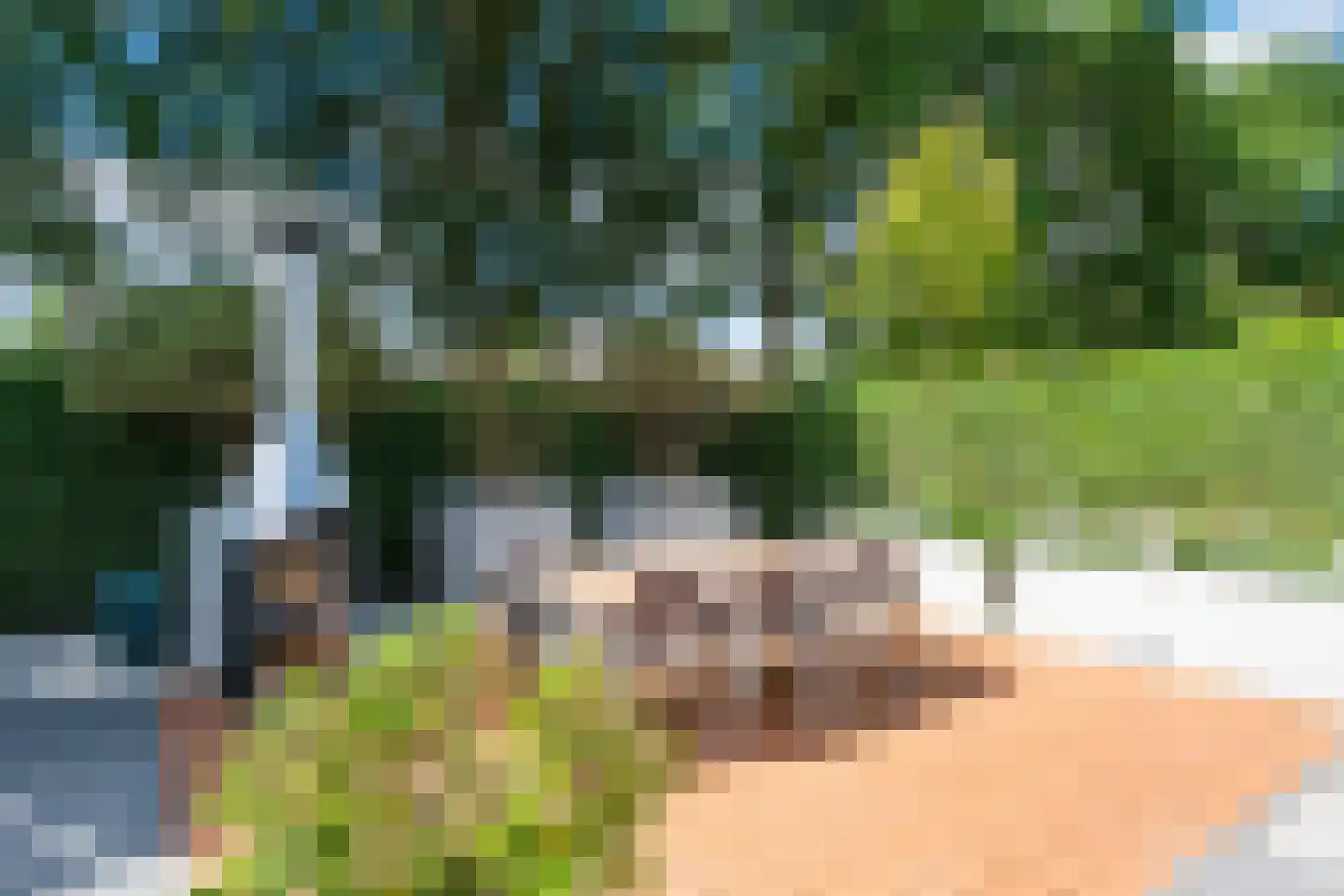 de Bezembinder 3 Heeze thumbnail 4