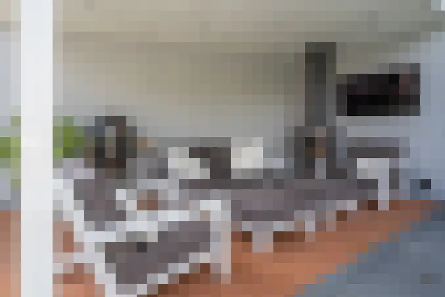 de Bezembinder 3 Heeze thumbnail 42