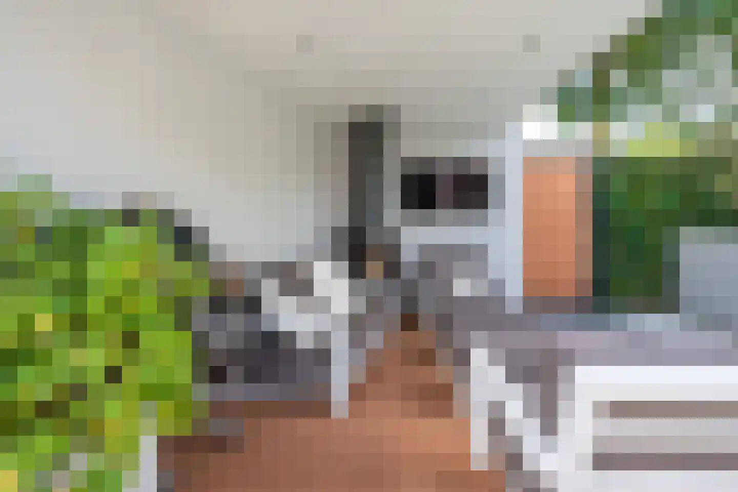 de Bezembinder 3 Heeze thumbnail 43
