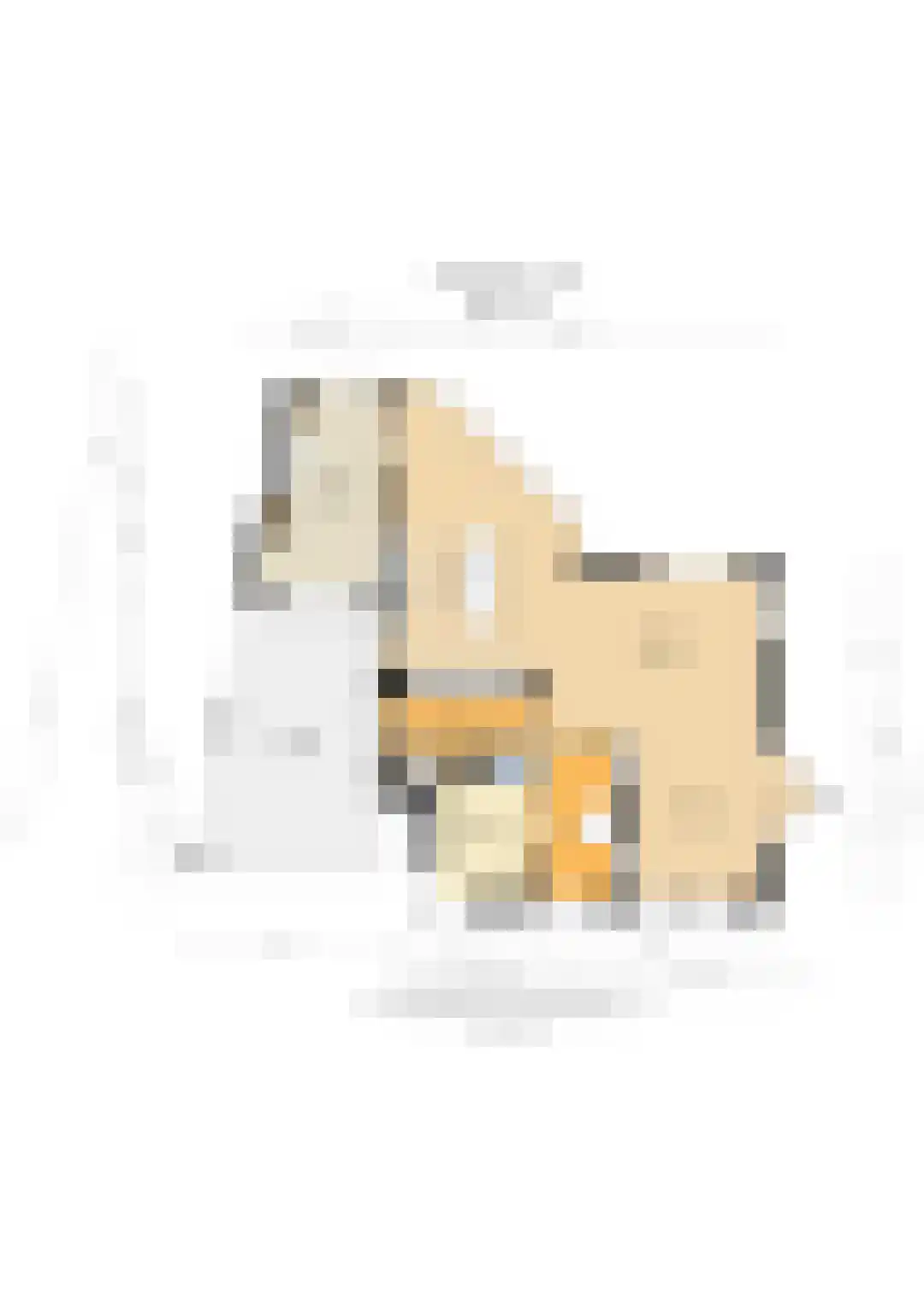 de Bezembinder 3 Heeze thumbnail 53