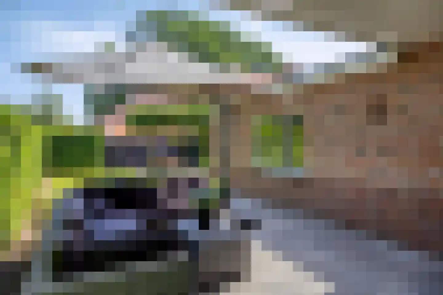 De Bieffel 16 Borne thumbnail 39