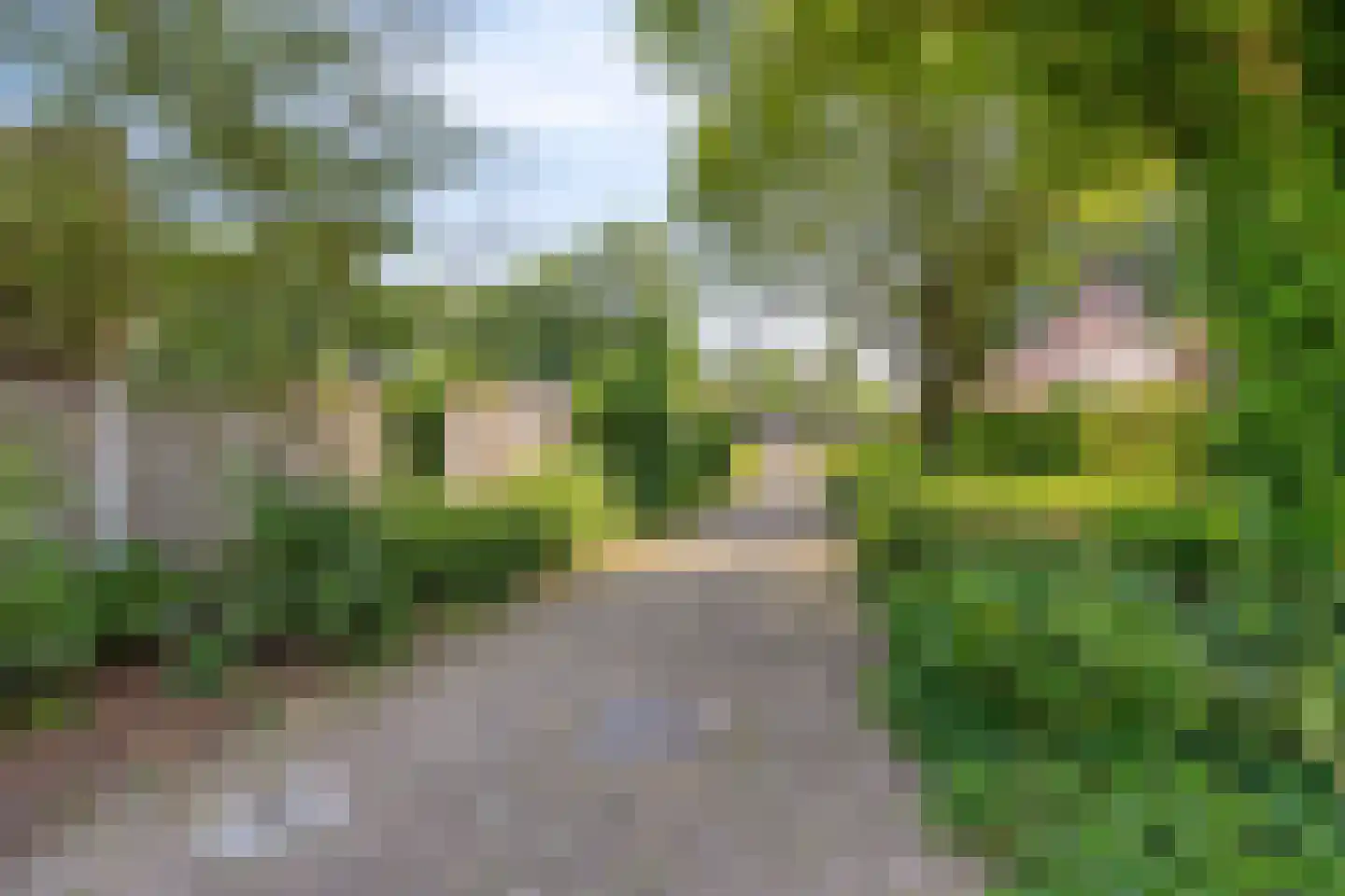 De Bieffel 16 Borne thumbnail 41