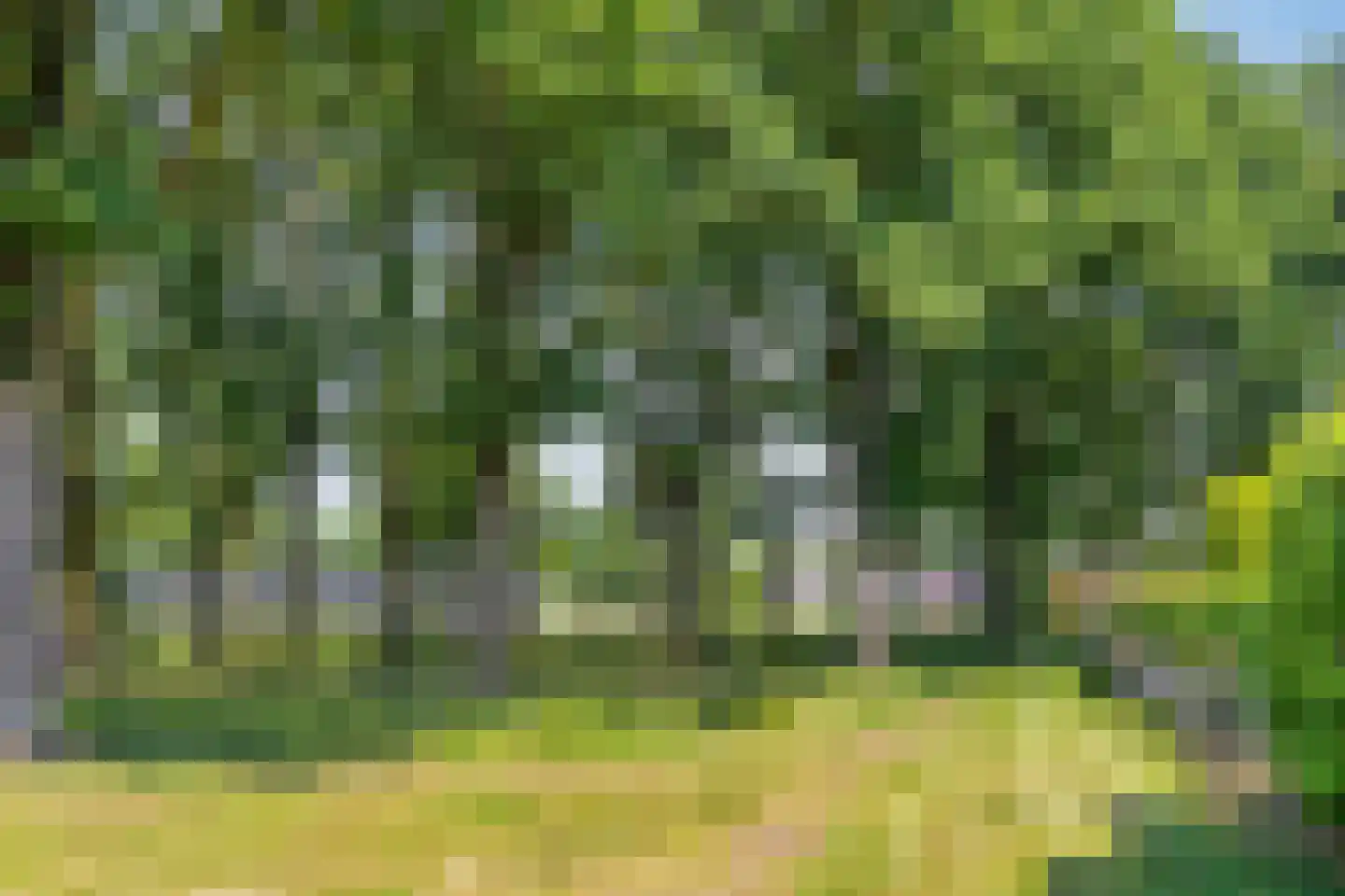 De Bieffel 16 Borne thumbnail 42