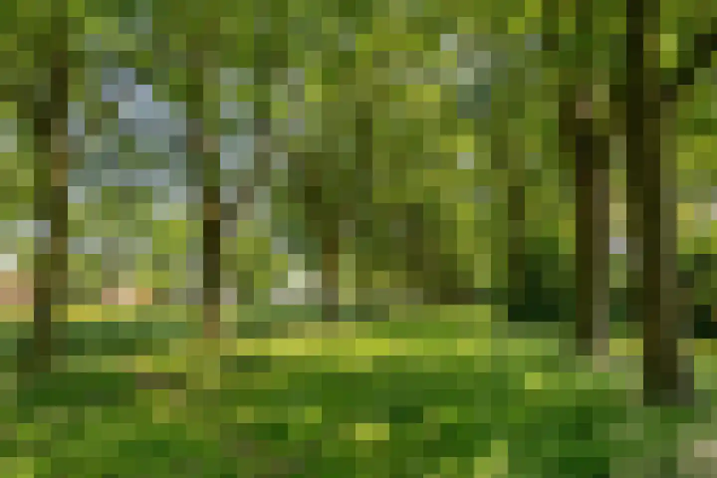 De Bieffel 16 Borne thumbnail 43