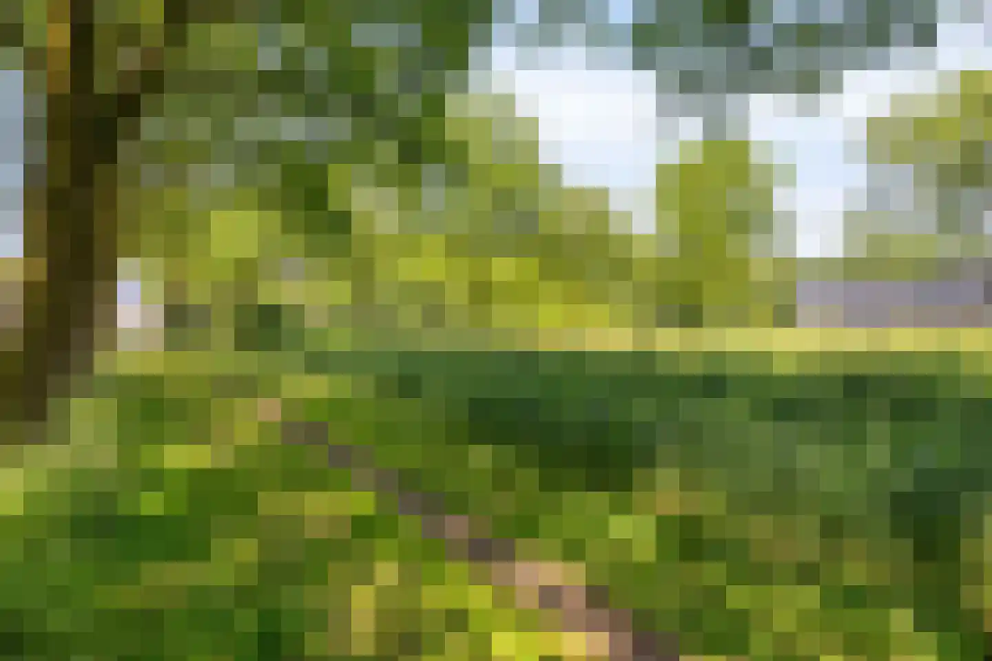 De Bieffel 16 Borne thumbnail 44
