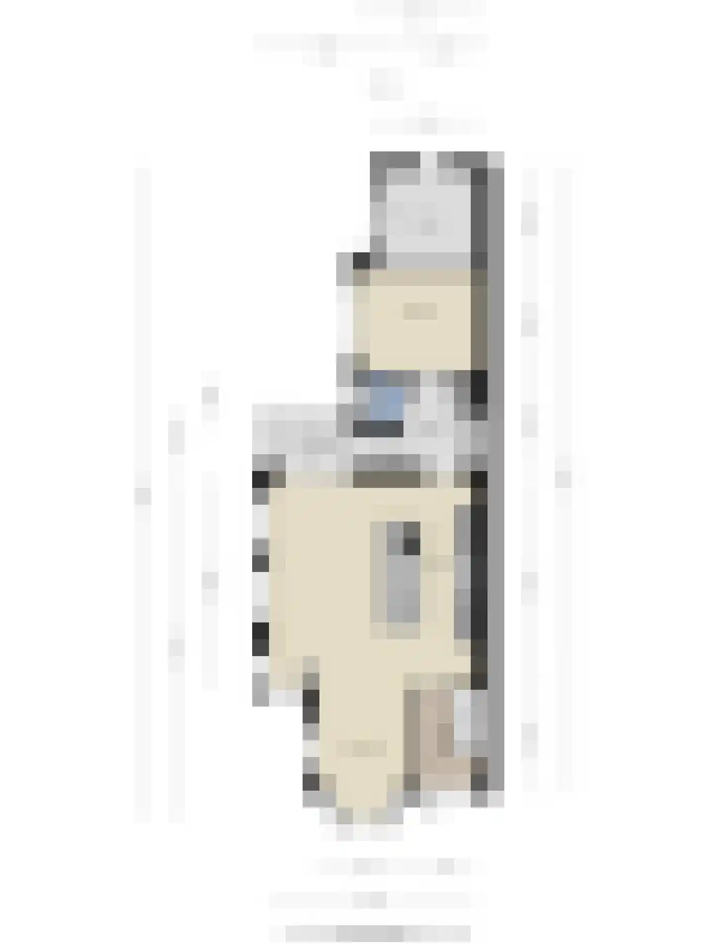 De Bieffel 16 Borne thumbnail 47