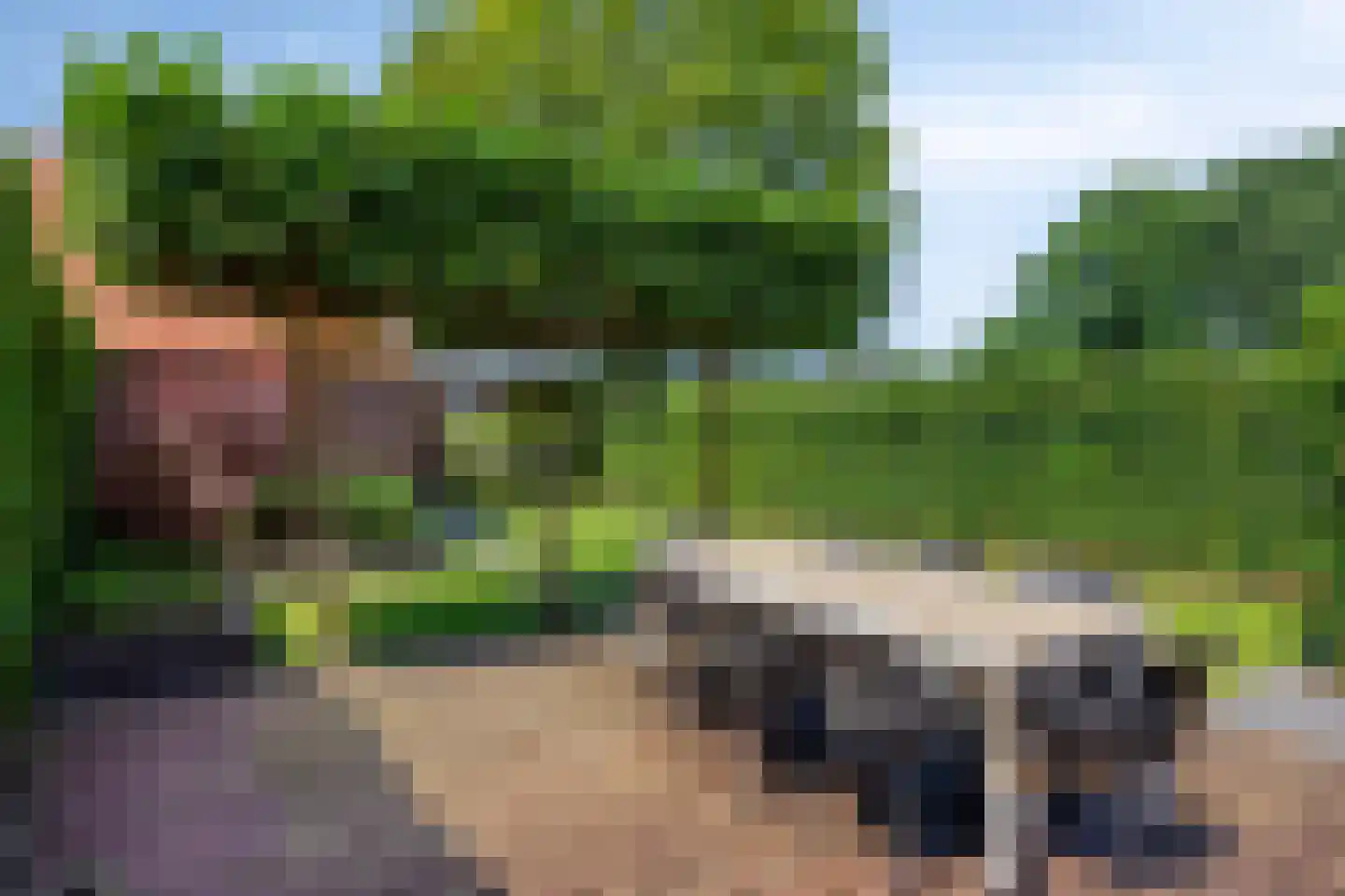 De Bieffel 16 Borne thumbnail 6