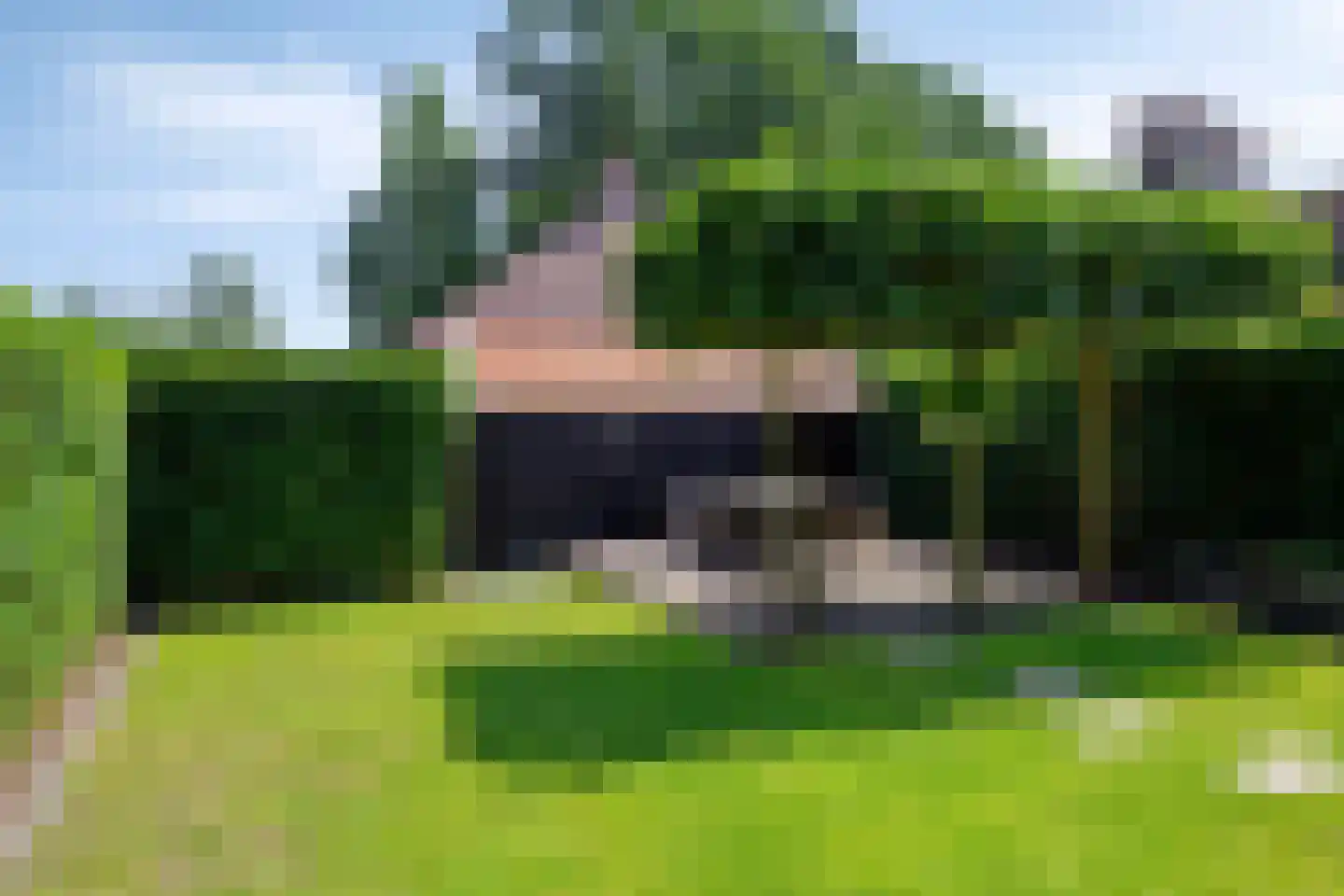 De Bieffel 16 Borne thumbnail 7