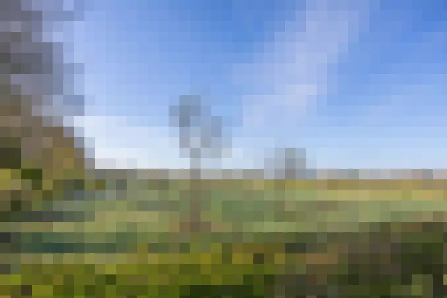 De Bies 1 Malden thumbnail 39