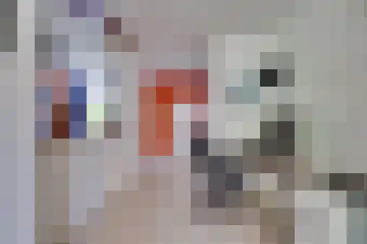 de Bieslook 19 Rozenburg thumbnail 13
