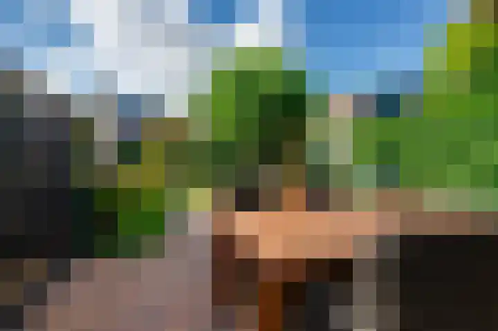 de Bieslook 19 Rozenburg thumbnail 25