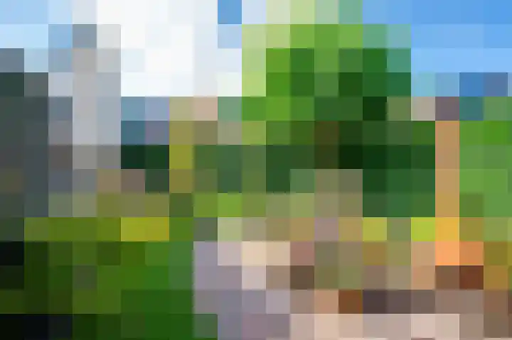 de Bieslook 19 Rozenburg thumbnail 26