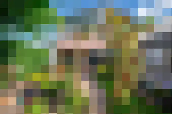 de Bieslook 19 Rozenburg thumbnail 27