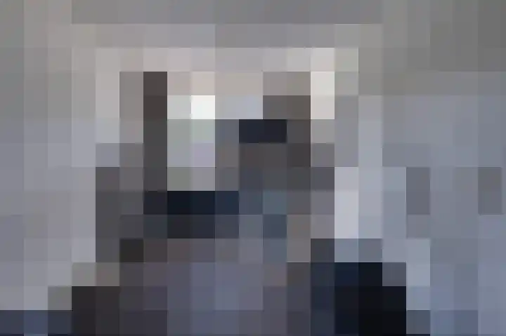 de Bieslook 19 Rozenburg thumbnail 36