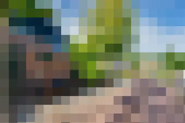 de Bieslook 19 Rozenburg thumbnail 6