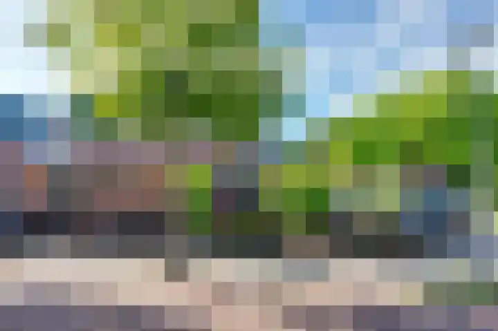 de Bieslook 19 Rozenburg thumbnail 7