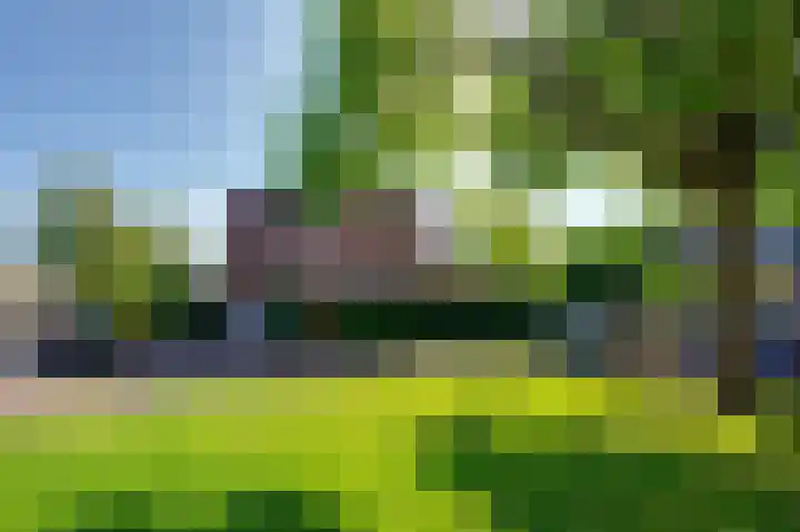 de Bieslook 19 Rozenburg thumbnail 8