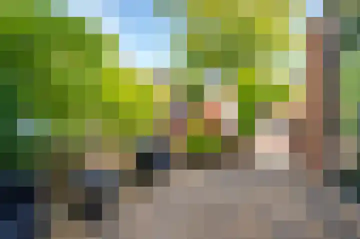de Bieslook 19 Rozenburg thumbnail 9