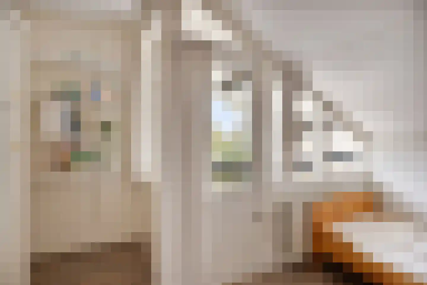 de Biester 11 Haaksbergen thumbnail 21