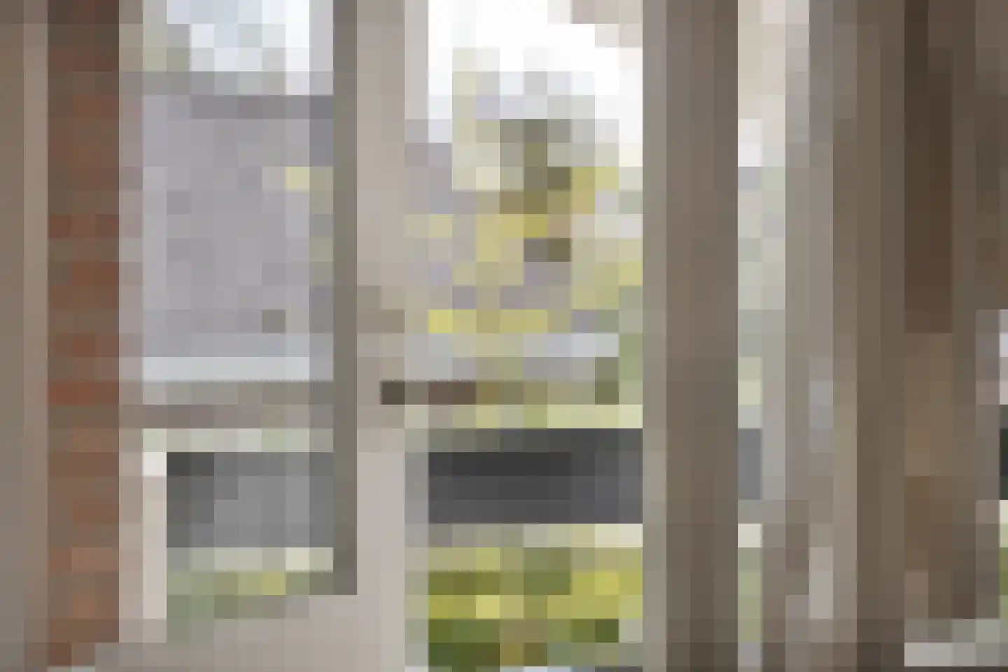 de Biester 11 Haaksbergen thumbnail 22