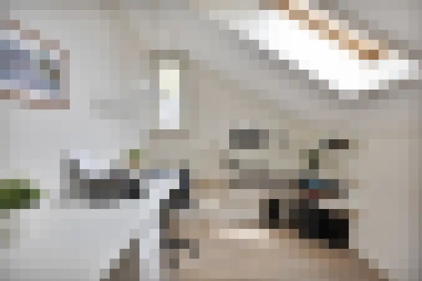 de Biester 11 Haaksbergen thumbnail 23