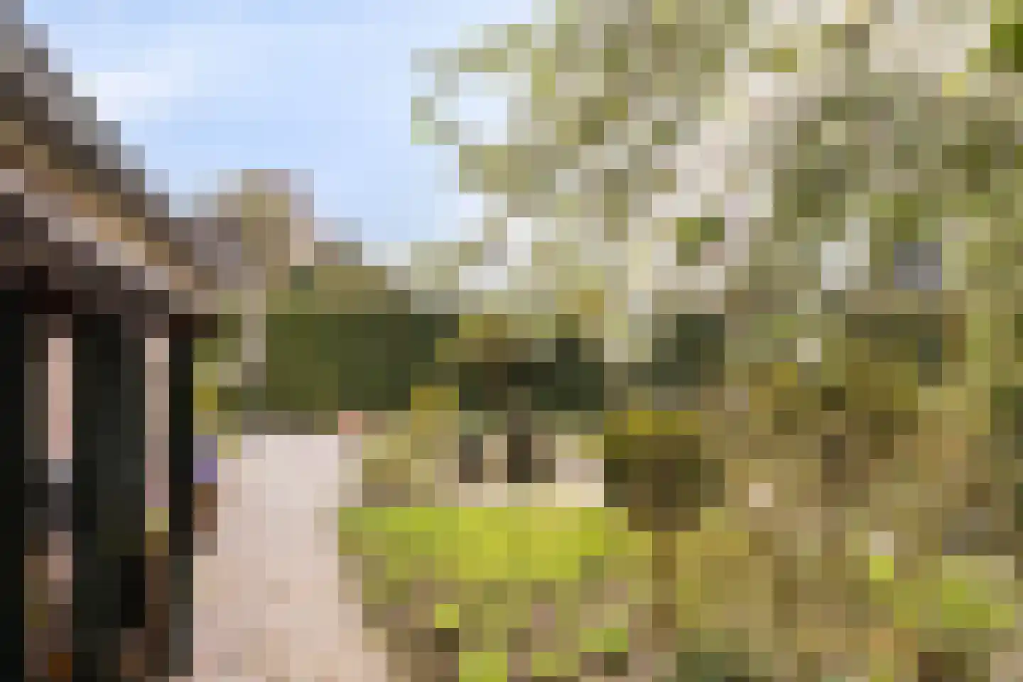 de Biester 11 Haaksbergen thumbnail 27