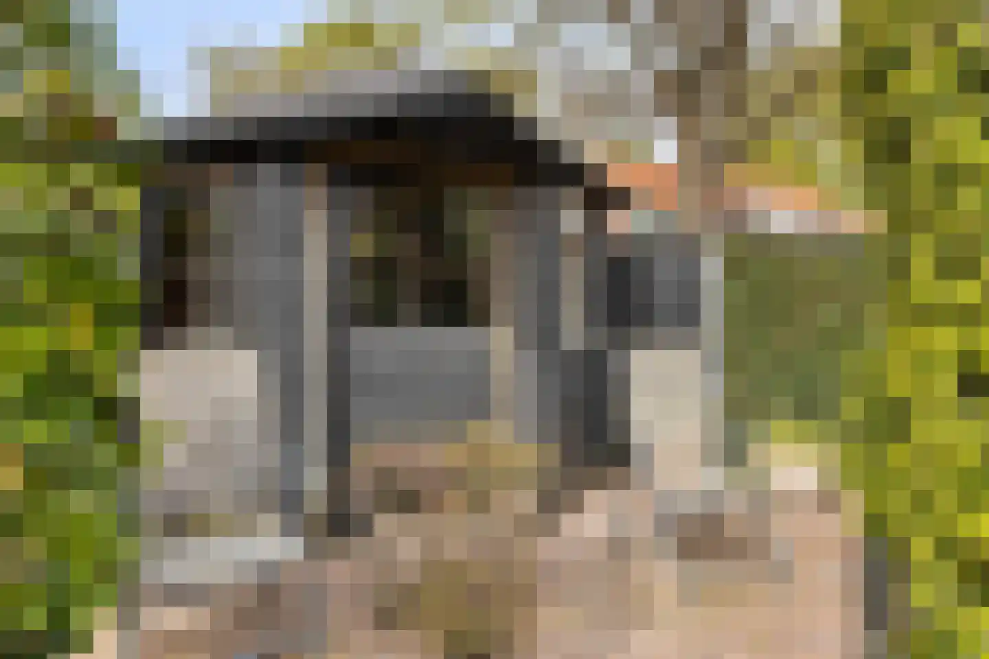 de Biester 11 Haaksbergen thumbnail 31