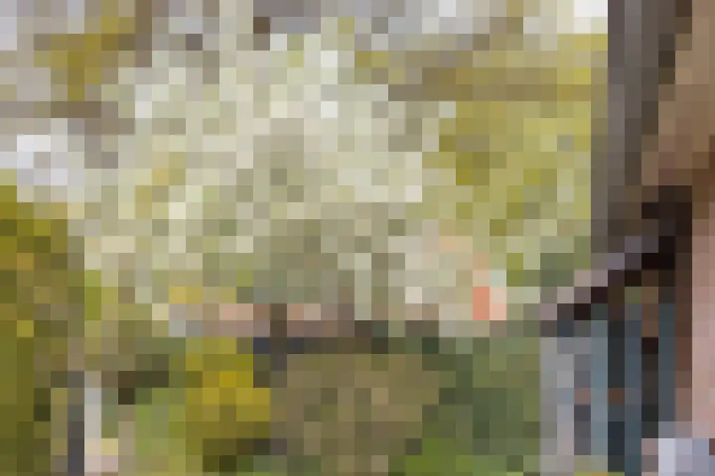de Biester 11 Haaksbergen thumbnail 33