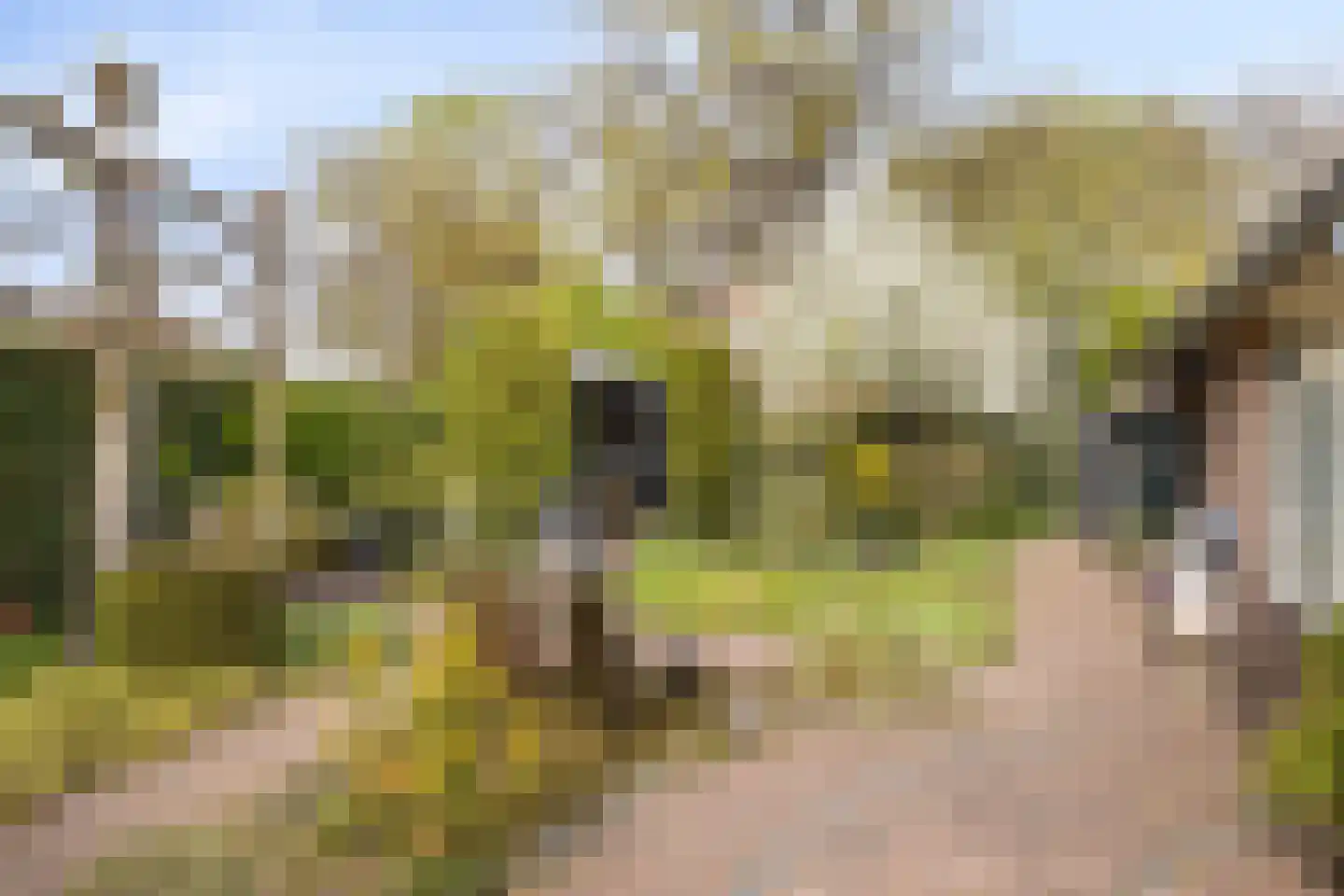 de Biester 11 Haaksbergen thumbnail 4