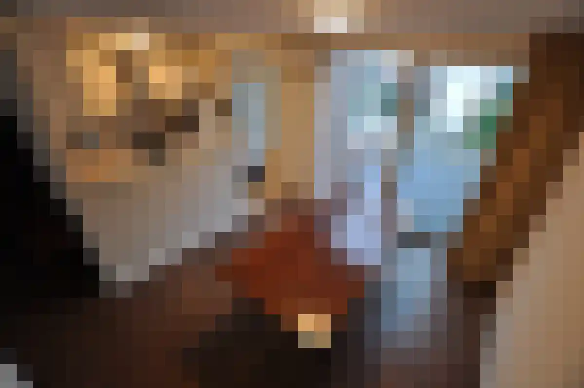 de Biestermannen 3 Heeze thumbnail 6