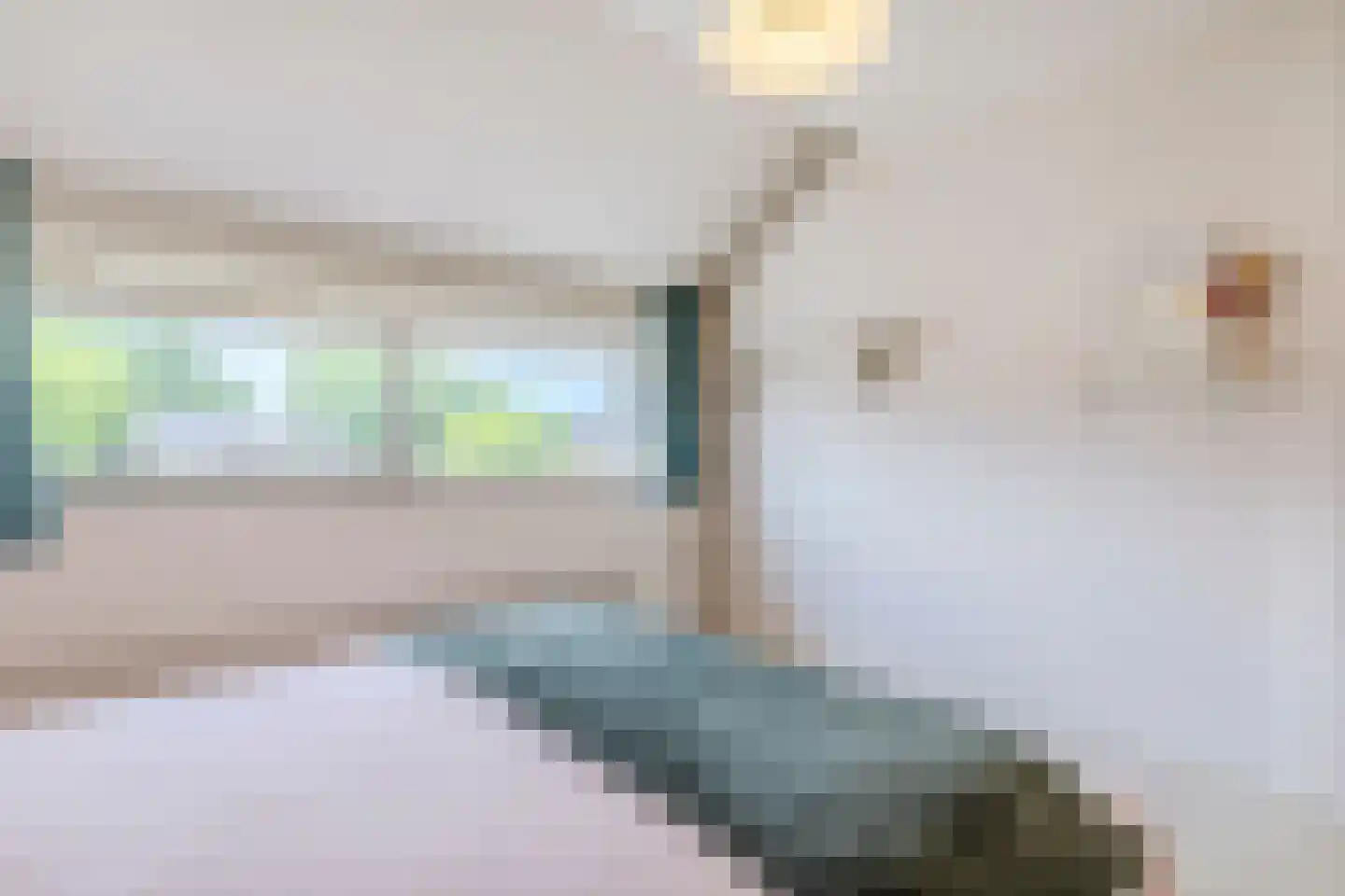 de Biestermannen 5 Heeze thumbnail 26
