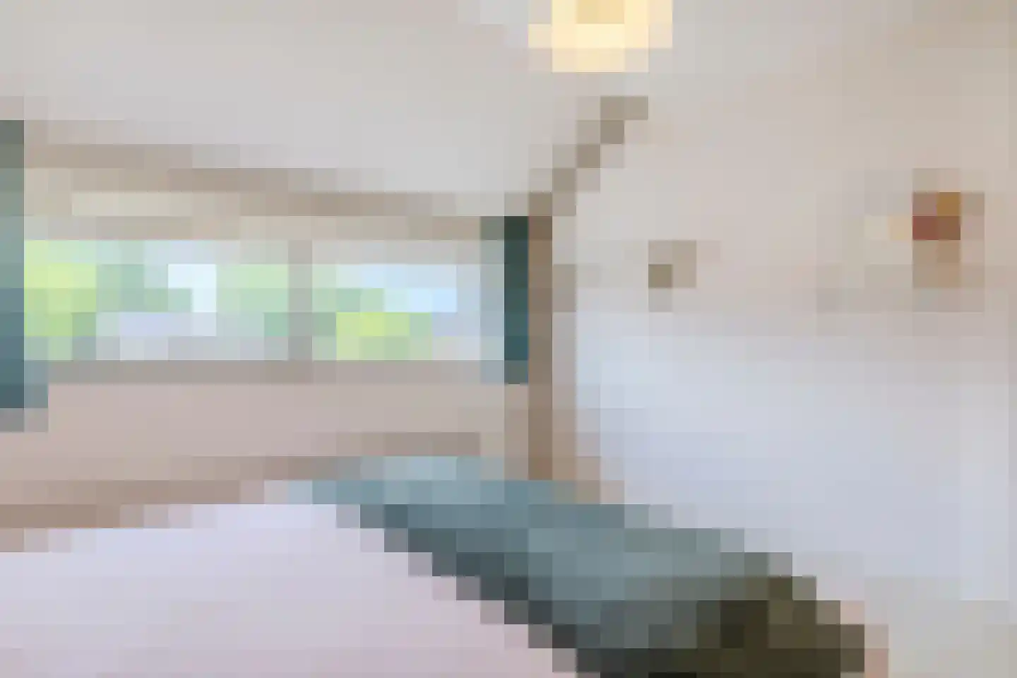 de Biestermannen 5 Heeze thumbnail 26