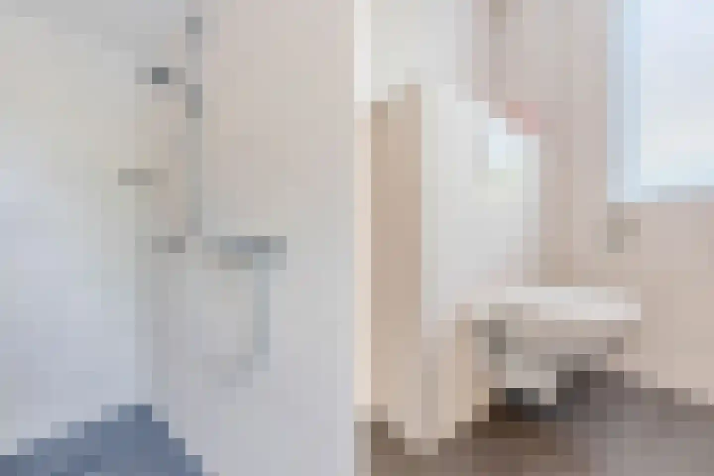 de Biestermannen 5 Heeze foto 3