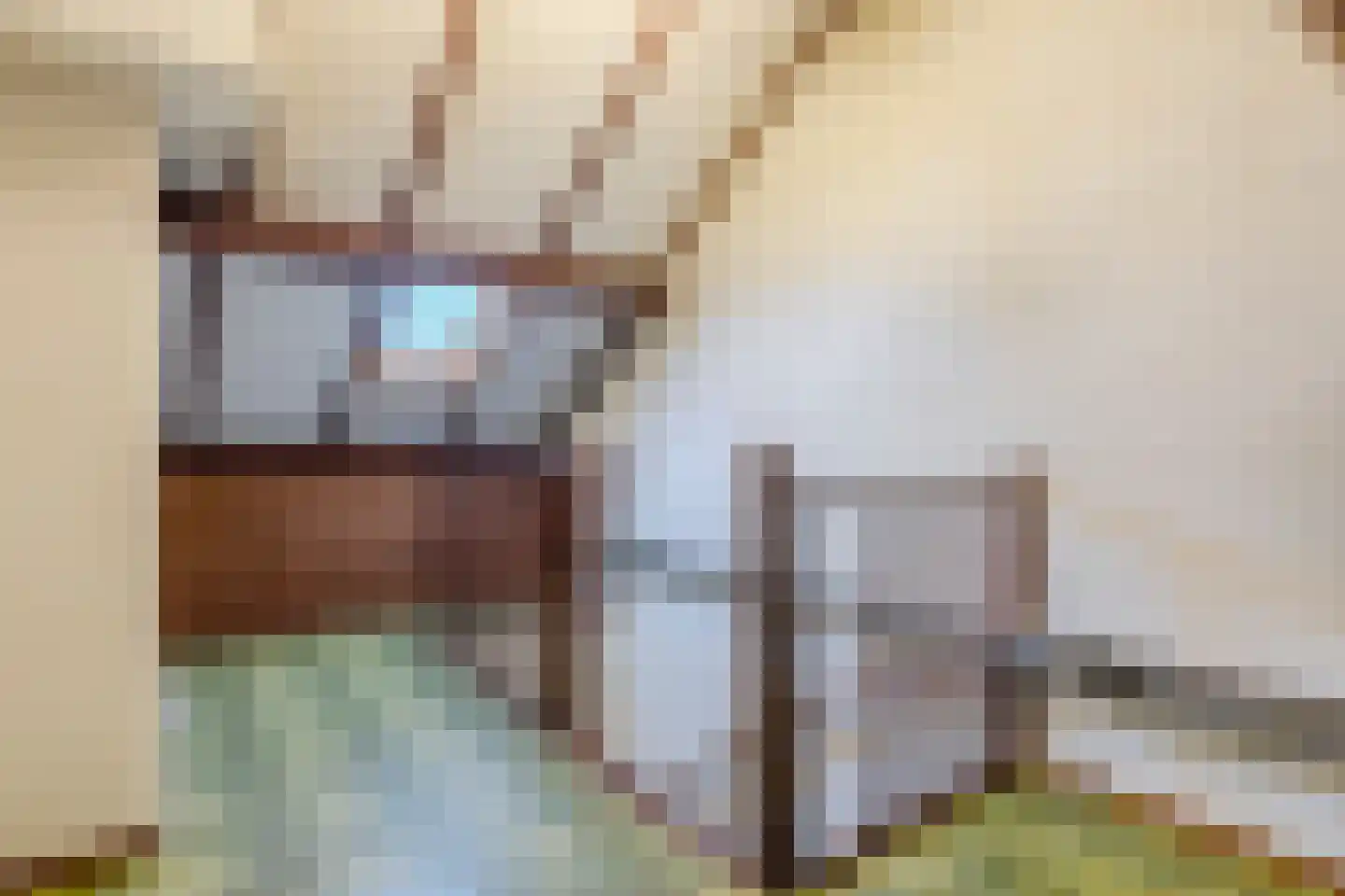de Biestermannen 5 Heeze thumbnail 41