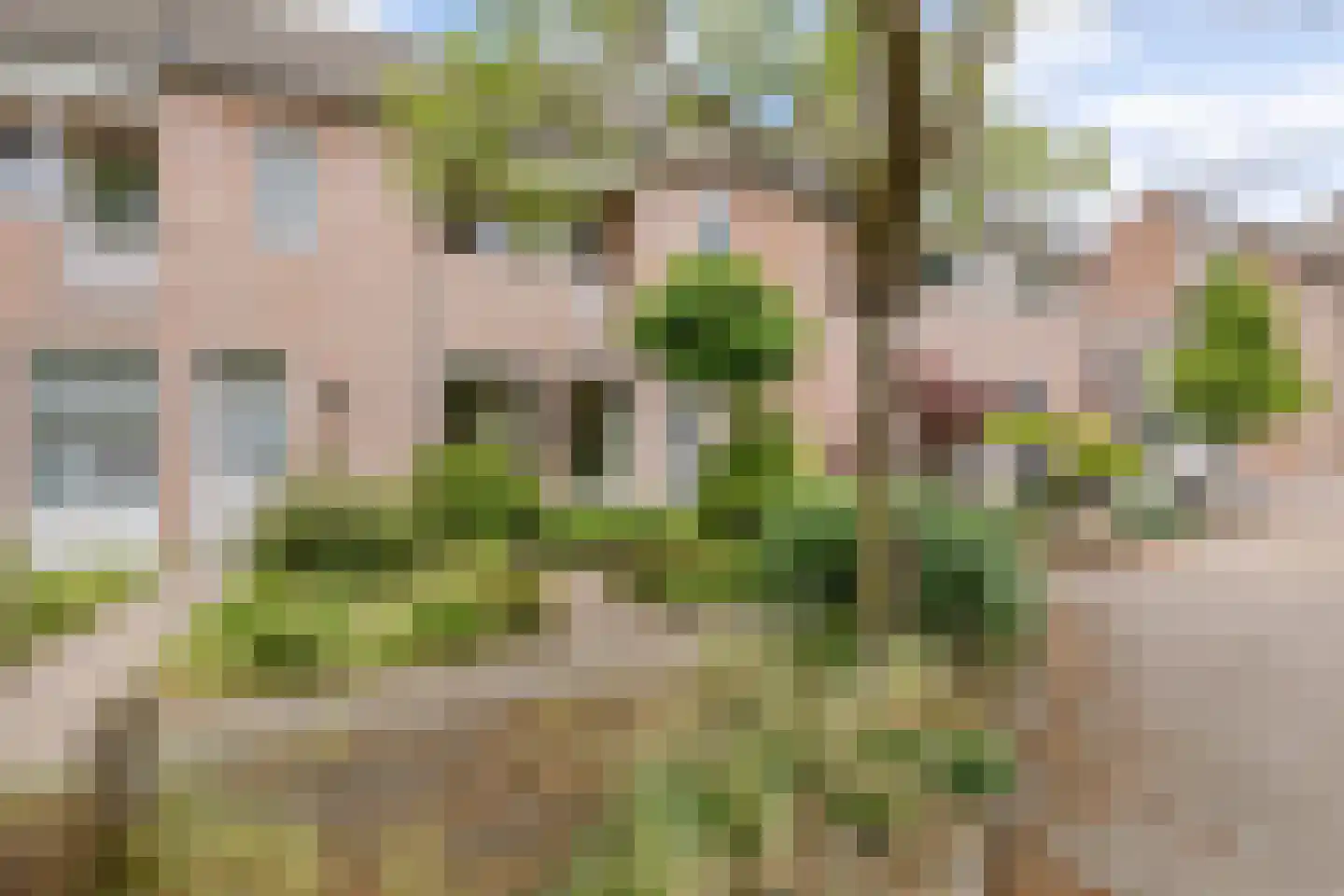 de Biestermannen 5 Heeze thumbnail 51